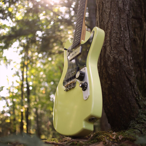 Beachwood Avocado Green - Image 9