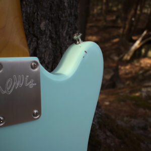 Lewis Minnow handcrafted Guitar strap button