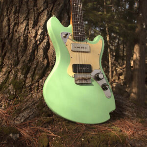 Lewis Minnow handcrafted Guitar on a tree