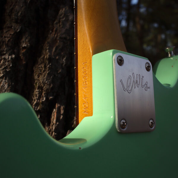Minnow Custom Order - Image 19