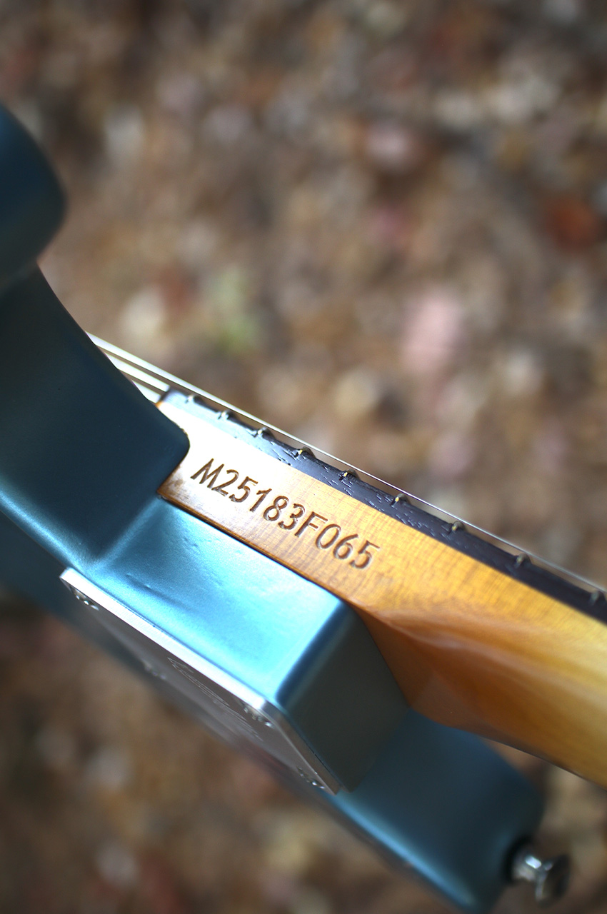 Frost Veil Minnow - Image 10