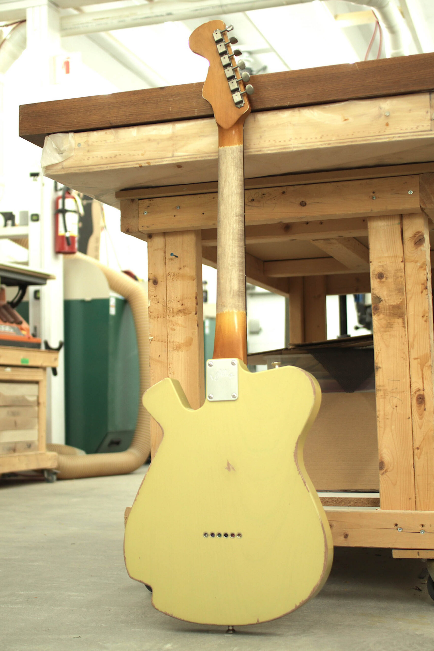 Revealer - Beechwood Blonde - Reservation Deposit - Image 9